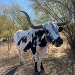 Truman Martin - @trumanmartin2 - Instagram