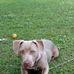 Martin Tuttle - Facebook