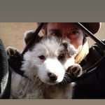 Martin Ullman - @martin0ull - Instagram