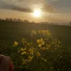 Martin Vance - @martinvance_4274 - TikTok