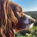 Martin Wakefield - @martinwakefield876 - Instagram