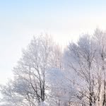 @martin_wallenborg - Instagram