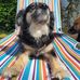 Martin Waring - Facebook