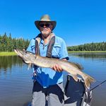 Martin Weeks - @bubbazoux - Instagram