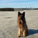 Martin Weeks - @martinweeks68 - Instagram