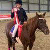 martin weeks - @showjumping..toff - TikTok