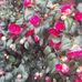 Martina Werth - Facebook