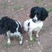 Martin Whitehurst - Facebook