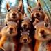 Martin Whitney - Facebook