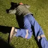martinwilcoxon - @martinwilcoxon2 - TikTok