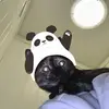 Martin Willard - @martin.willard - TikTok