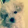 martinaarias - @martinaarias - TikTok