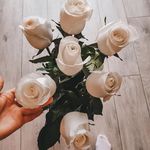 @martina_armstrong_143 - Instagram