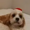 martinablake866 - @martinablake866 - TikTok