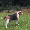 Martine Bruce - @martine.bruce - TikTok