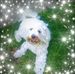 Martina Cunningham - Facebook