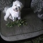 Martina Cunningham - @martina.cunningham.1213 - Instagram