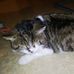 Martina Dossenbach - Facebook