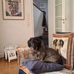 Martina Friedrich - @martina.friedrich.1957 - Instagram