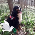Martina Friedrich - Facebook