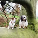 Martina Friedrich - @friedrich4299 - Instagram