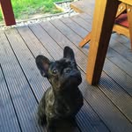 Martina Friedrich - @friedrich4490 - Instagram