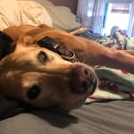 Martina Hanson - @hanson55737 - Instagram