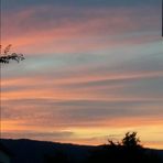 Martina Schuster - Facebook