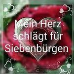 Martina Schuster - @martina23475 - Instagram
