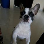 Martina Vélez - @martinavelez7 - Instagram