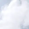 Martina ward 12 - @martina.ward8 - TikTok