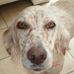 Martine Alexandre - Facebook
