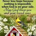 Martine Alexandre - Facebook