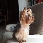 Martine André - @martineandreherbiet67 - Instagram