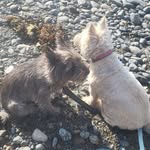 Martine Andre - @babouchka2022 - Instagram