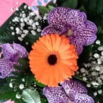 Martine André - @martine.andre.9 - Instagram