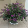 Martine Andre - @martine.andre5 - TikTok