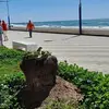 Martine Andre - @martine.andre15 - TikTok