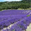 martineandre880 - @martineandre880 - TikTok