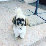 Martine Benoit - @martine_benoit_ - Instagram