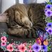 Martine Benoit - Facebook