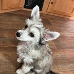 Martine Charron - @charronmartine - Instagram