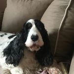 Martine Charron - @martine.charron61 - Instagram