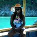 Martine Michel - Facebook