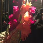 Martine Scott - @marsco99 - Instagram