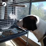 Martine Scotti Roche - @martine.scotti - Instagram