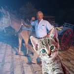 Martinho Branco - @martinho.branco.9 - Instagram