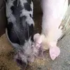 Martir Gonzalez - @martir.gonzalez5 - TikTok