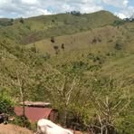 Martir Menjivar - Facebook