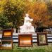 Martiros Saryan Park - Facebook